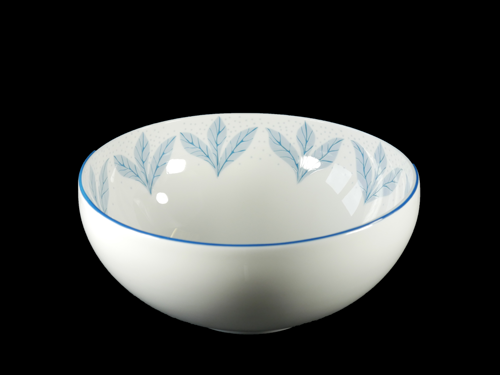 importedbowl4.png